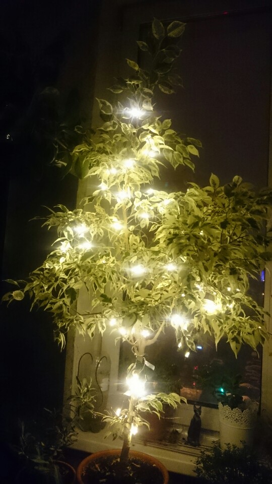3.3M 30LED Star Copper Wire String Lights LED Fairy Lights Christmas Wedding decoration Lights Battery Operate twinkle lights