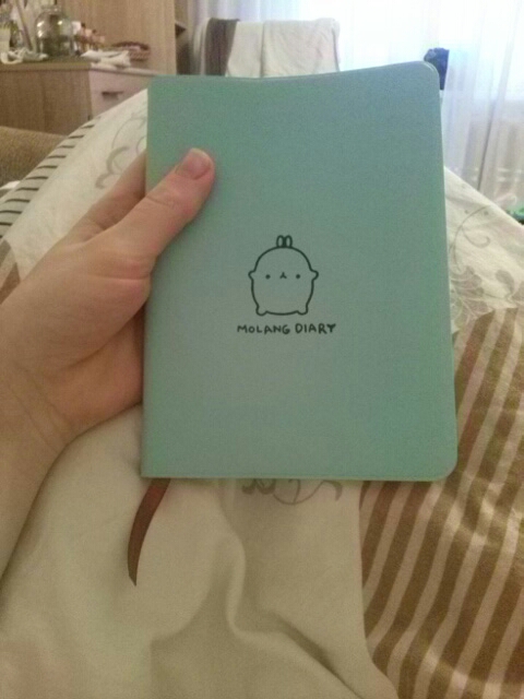 2017-2018 Cute Kawaii Notebook Cartoon Molang Rabbit Journal Diary Planner Notepad For Kids Gift Korean Stationery Three Covers