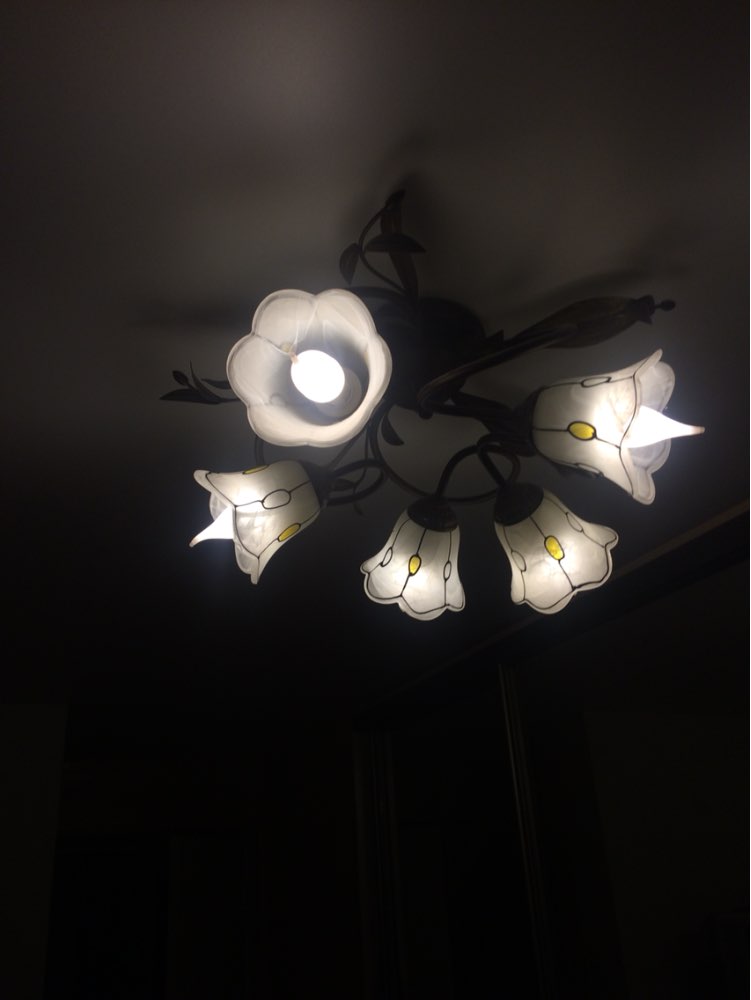 165-265V Energy Saving 3W 5W E14 LED Lamp E14 LED Bulbs Light 220V High Power Home Lighting E14 Candle Light for Indoor Lighting