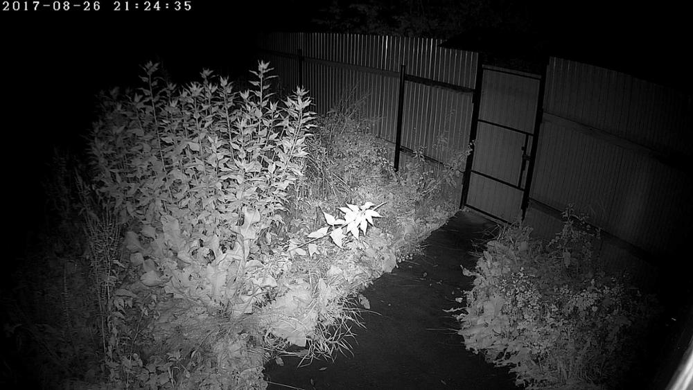 Owlcat HI3516C+SONY IMX222 HD 1080P 4X Auto Zoom 2.8-12mm Varifocal lens PTZ Outdoor Security CCTV ip Camera IR cut Onvif RTSP
