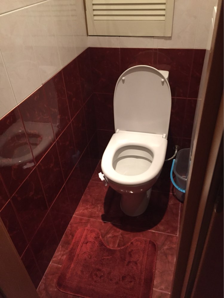 Motion Activated Toilet Night light Bowl Bathroom LED Emergency Light 8 Color Lamp