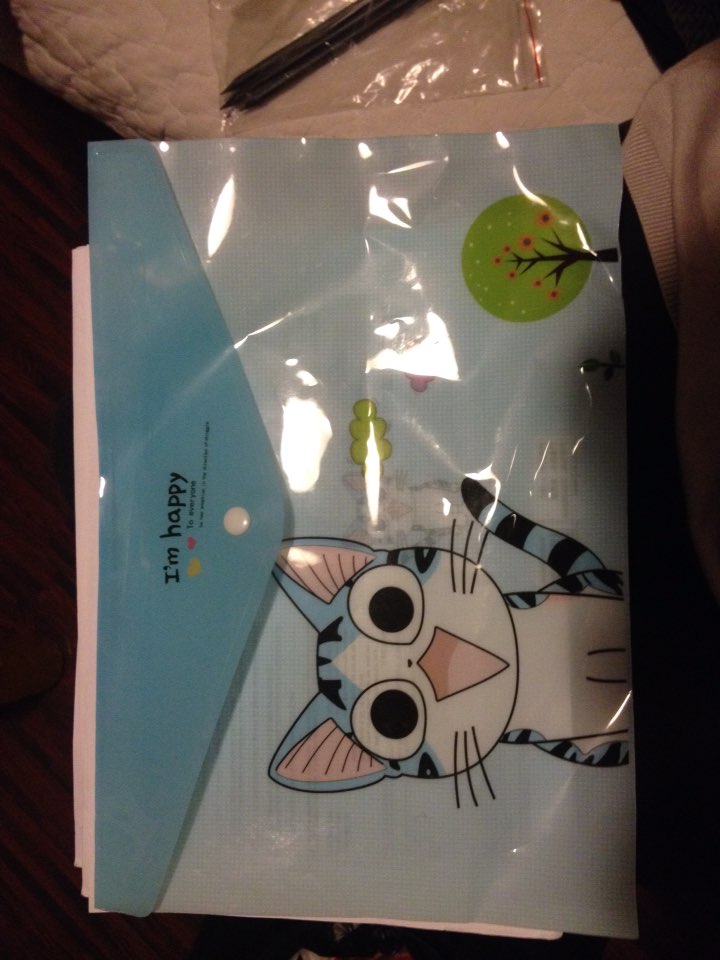 1 Pcs Cute Cartoon Cheese Cat PVC A4 Filing Products File Folder Storage Stationery School Office Supplies