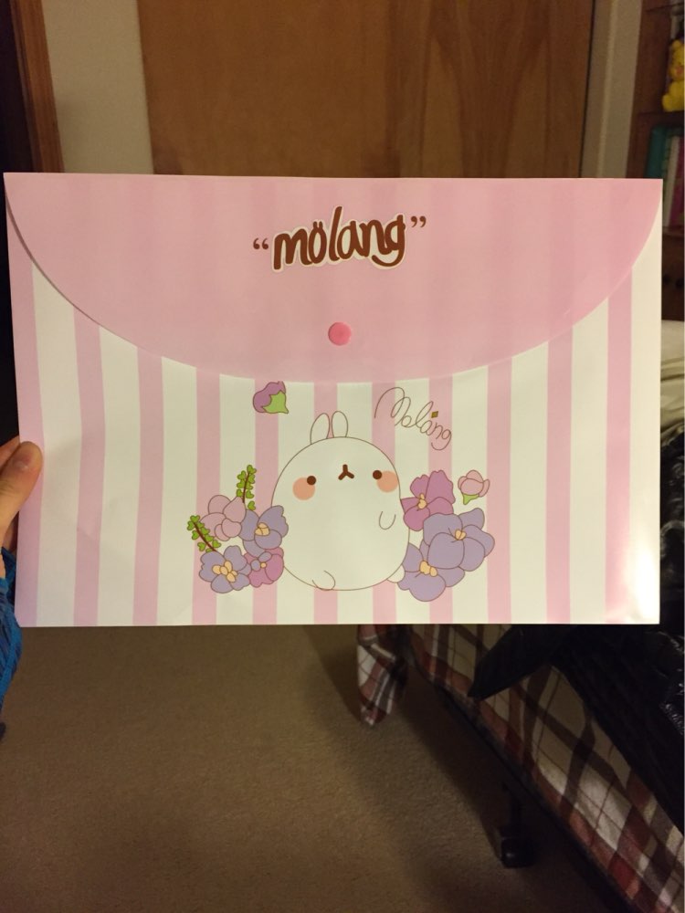 1Pc / A4 Folders School Supplies Cartoon Folders Office Supplies Student