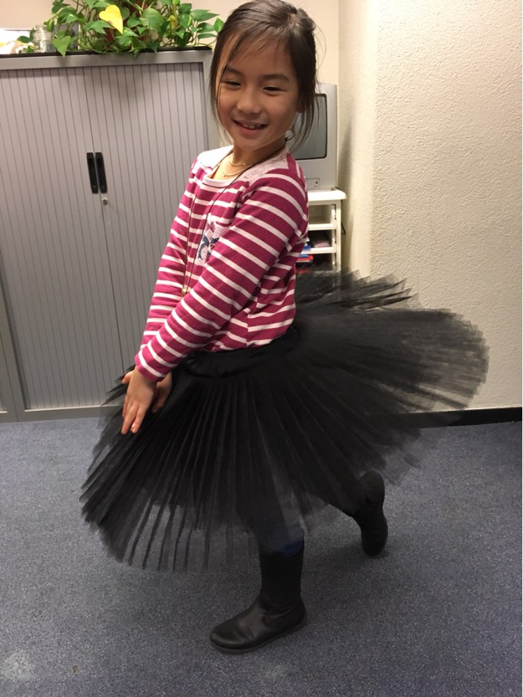 Female Ballet Skirt Uniforms Professional Platter Tutu Black White Red Ballet Dance Costume For Women Tutu Ballet Adult 6 Layers