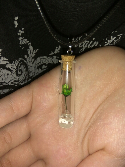 New Creative Women Necklace beach Style Love hope wish Drift Bottles Real Flowers Pendant Necklace Short Clavicle Chain Pendant