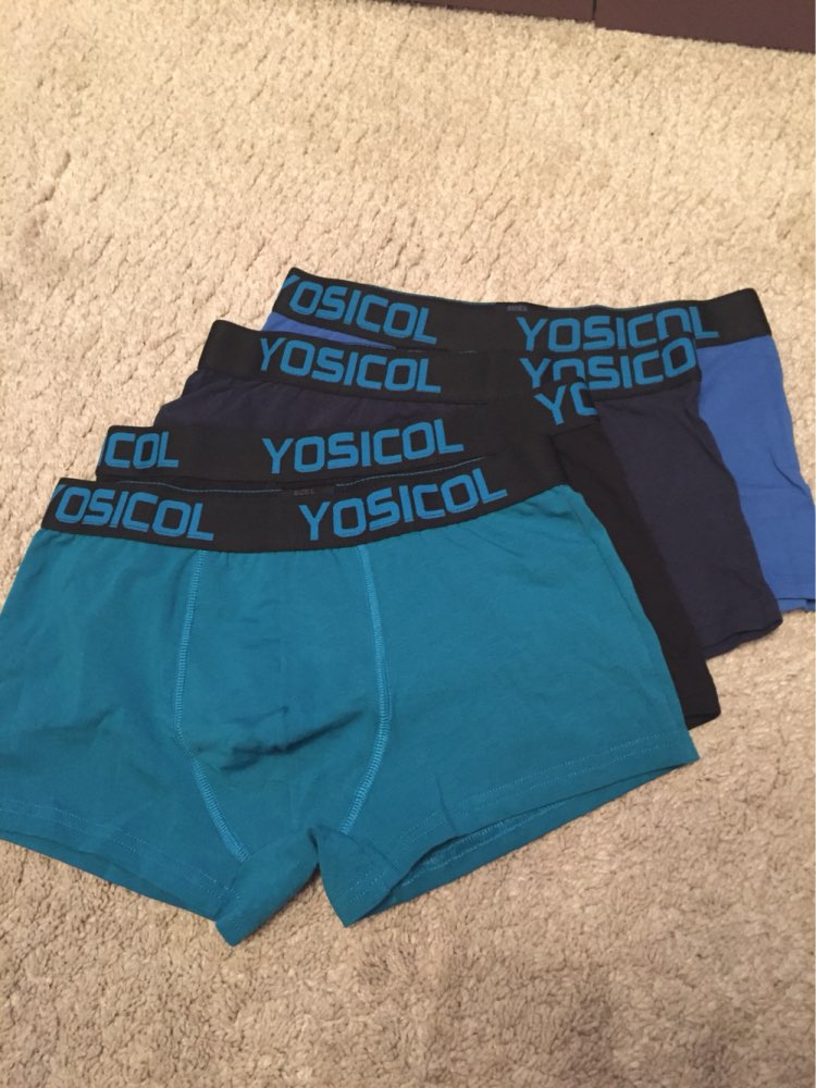 4Pcs\lot  Panties Mens  Underwear Soft Boxers cotton Boxer Men Solid Boxer Shorts Plus Size Boxers underpants for male NK003