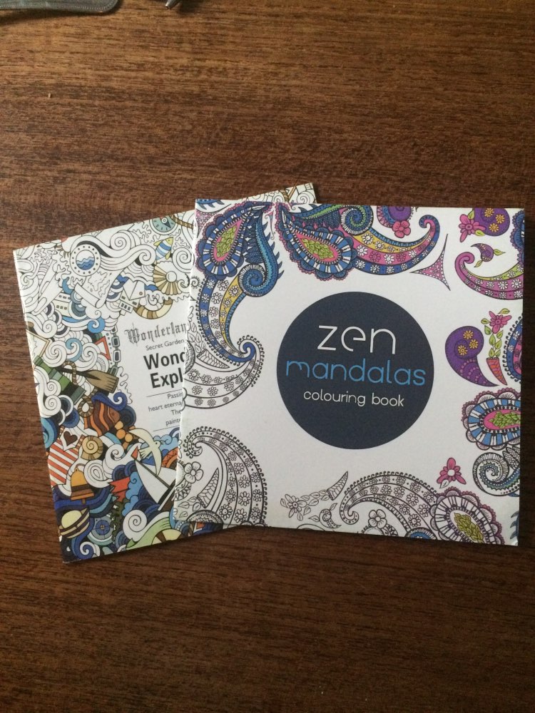 1 Pcs 24 Pages Wonderland Exploration Coloring Book for Children Adult Relieve Stress Kill Time Graffiti Painting Art Book