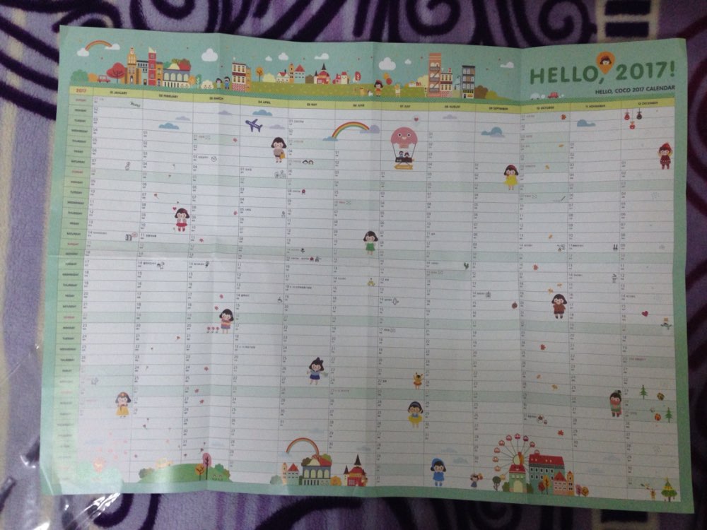 2017 Calendar  365 Days Schedules